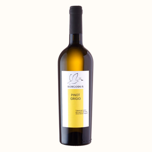 Bottiglia di vino bianco con etichetta bianca e gialla. Sul fronte il logo di un'anatra in volo con sotto il nome "Pinot Grigio".